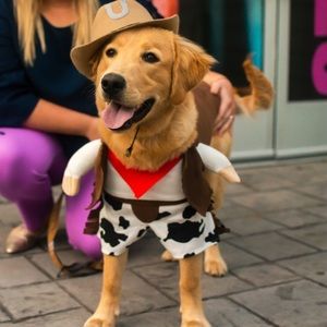Dog Cowboy Halloween costume